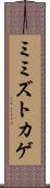 ミミズトカゲ Scroll