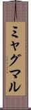 ミャグマル Scroll