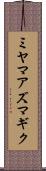 ミヤマアズマギク Scroll