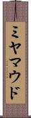 ミヤマウド Scroll