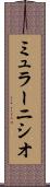 ミュラーニシオ Scroll