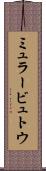 ミュラービュトウ Scroll