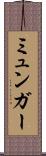ミュンガー Scroll