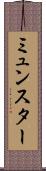 ミュンスター Scroll