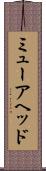 ミューアヘッド Scroll