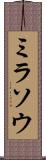ミラソウ Scroll