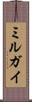 ミルガイ Scroll