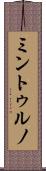 ミントゥルノ Scroll