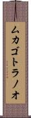 ムカゴトラノオ Scroll
