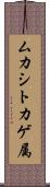 ムカシトカゲ属 Scroll