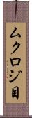 ムクロジ目 Scroll