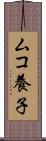 ムコ養子 Scroll