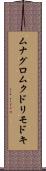 ムナグロムクドリモドキ Scroll