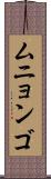 ムニョンゴ Scroll