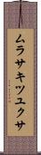 ムラサキツユクサ Scroll