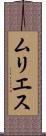ムリエス Scroll