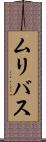 ムリバス Scroll