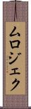 ムロジェク Scroll