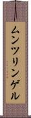 ムンツリンゲル Scroll