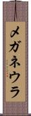 メガネウラ Scroll