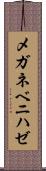 メガネベニハゼ Scroll