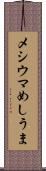 メシウマ Scroll