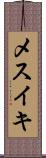 メスイキ Scroll
