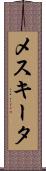 メスキータ Scroll