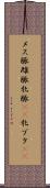 メス豚 Scroll