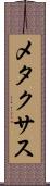 メタクサス Scroll