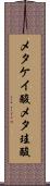 メタケイ酸 Scroll