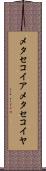 メタセコイア Scroll