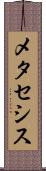 メタセシス Scroll