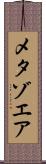 メタゾエア Scroll