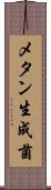 メタン生成菌 Scroll
