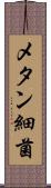 メタン細菌 Scroll
