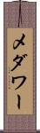 メダワー Scroll