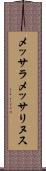 メッサラメッサリヌス Scroll
