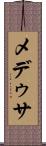 メデゥサ Scroll