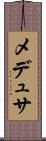 メデュサ Scroll