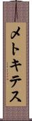 メトキテス Scroll
