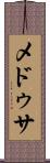 メドゥサ Scroll
