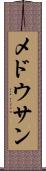 メドウサン Scroll
