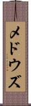 メドウズ Scroll