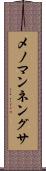 メノマンネングサ Scroll