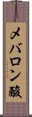 メバロン酸 Scroll