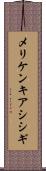 メリケンキアシシギ Scroll