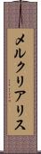 メルクリアリス Scroll