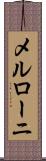 メルローニ Scroll