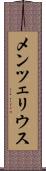メンツェリウス Scroll